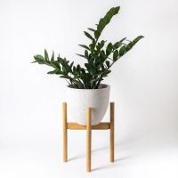 318456892_515634617182435_1641533131904290587_n