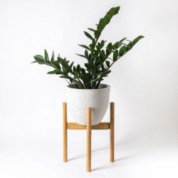 318456892_515634617182435_1641533131904290587_n