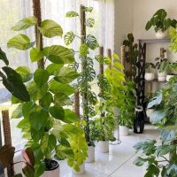 5c2743f005bb261c4d63724856023b32