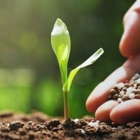 WhatsApp Image 2024-11-07 at 6.01.04 PM