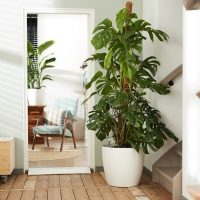 f513000a8d5a04752cdfae6006d939a7